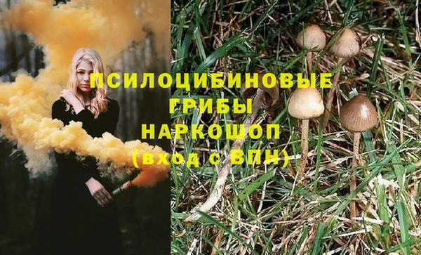 мдма Зеленодольск